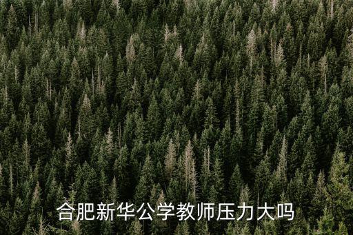 合肥新華學校，合肥新華學校錄取分數線