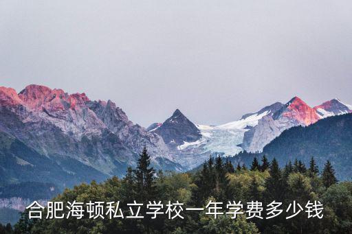 合肥海頓私立學校一年學費多少錢