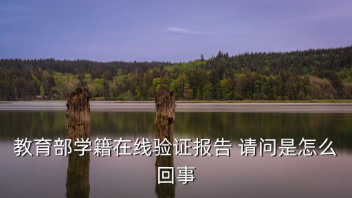 教育部學(xué)籍在線驗(yàn)證報(bào)告 請(qǐng)問是怎么回事