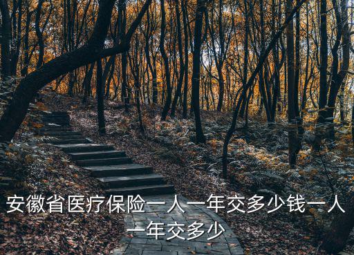 安徽省醫療保險一人一年交多少錢一人一年交多少