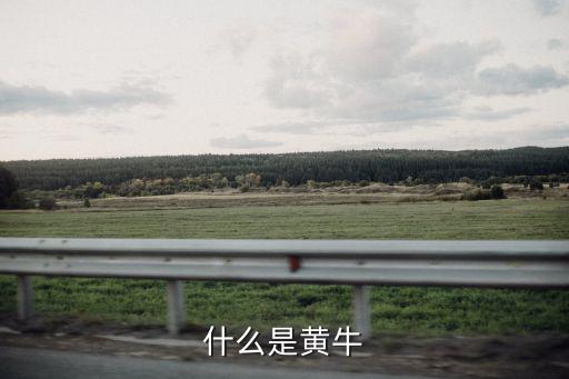 什么是黃牛
