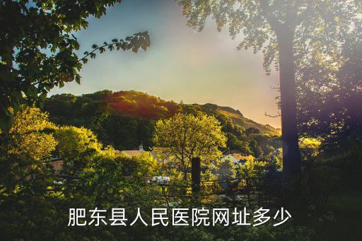 肥東縣人民醫(yī)院網(wǎng)址多少