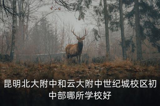 昆明北大附中，昆明北大附中和云大附中世紀城校區初中部哪所學校好