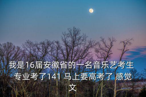 我是16屆安徽省的一名音樂藝考生 專業考了141 馬上要高考了 感覺文