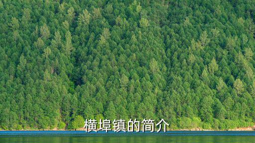 樅陽縣橫埠鎮(zhèn)，樅陽縣橫埠鎮(zhèn)的介紹