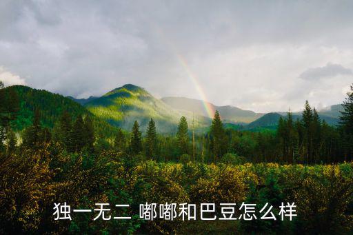 嘟嘟和巴豆，獨(dú)一無二 嘟嘟和巴豆怎么樣