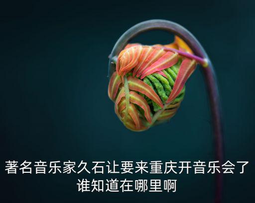 著名音樂家久石讓要來重慶開音樂會了誰知道在哪里啊