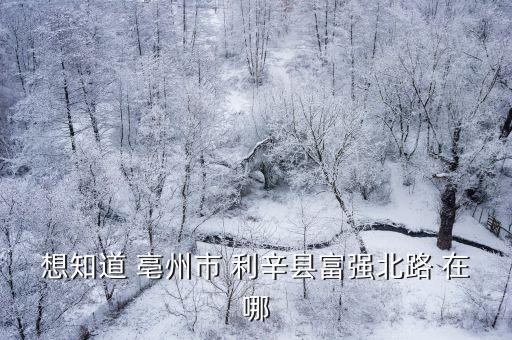 想知道 亳州市 利辛縣富強北路 在哪