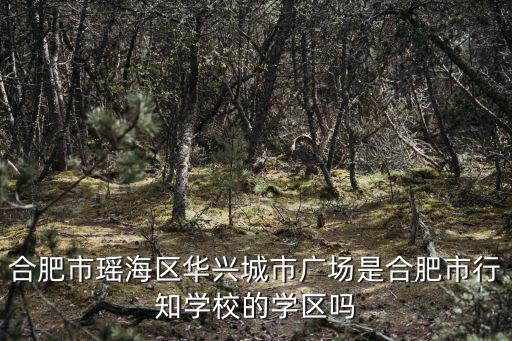 合肥市瑤海區華興城市廣場是合肥市行知學校的學區嗎