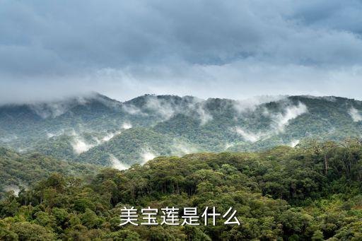 美寶蓮是哪國的牌子，美寶蓮品牌主打是什么