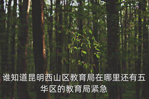 誰知道昆明西山區教育局在哪里還有五華區的教育局緊急