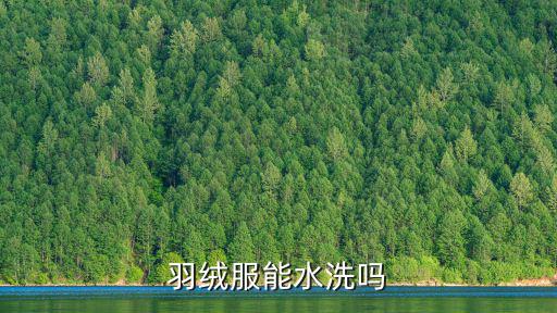 羽絨服能水洗嗎