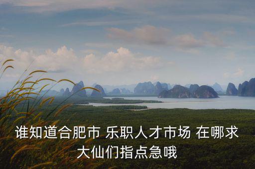 誰知道合肥市 樂職人才市場 在哪求大仙們指點急哦