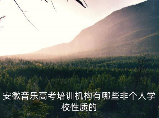 安徽音樂高考培訓機構有哪些非個人學校性質的