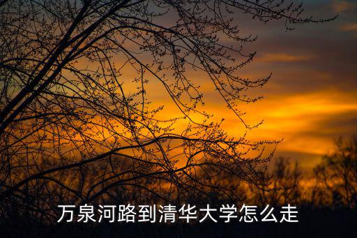 萬泉河路到清華大學(xué)怎么走