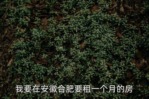 我要在安徽合肥要租一個月的房