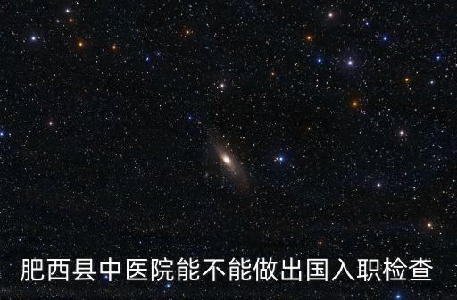肥西縣中醫院能不能做出國入職檢查