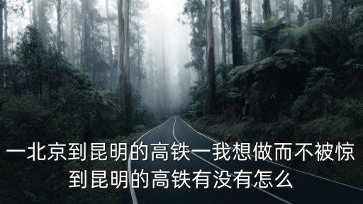 一北京到昆明的高鐵一我想做而不被驚到昆明的高鐵有沒有怎么