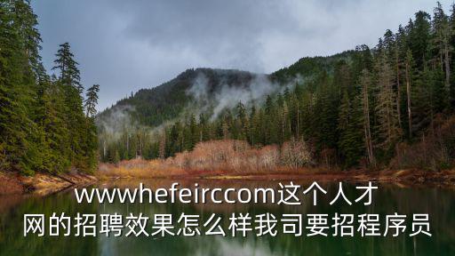 wwwhefeirccom這個人才網(wǎng)的招聘效果怎么樣我司要招程序員