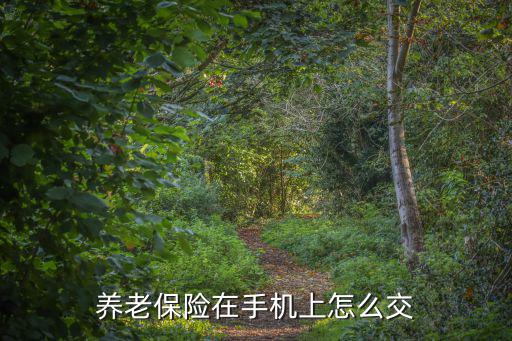 養老保險在手機上怎么交