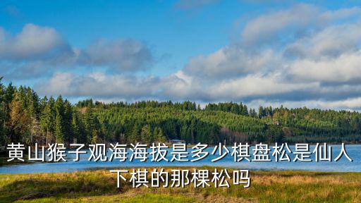 黃山猴子觀海海拔是多少棋盤松是仙人下棋的那棵松嗎