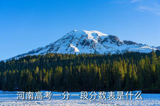 2021一分一段表，河南高考一分一段分數表是什么