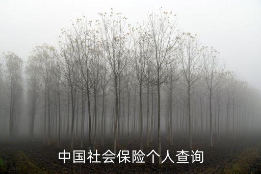 中國社會保險個人查詢