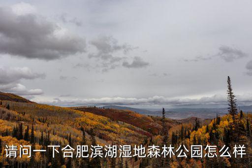 請(qǐng)問(wèn)一下合肥濱湖濕地森林公園怎么樣