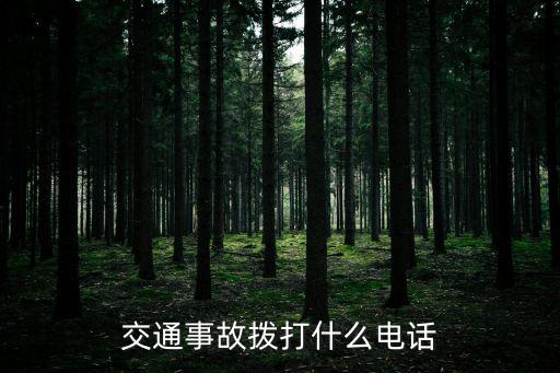 交警事故電話，路上出事故了叫交警打什么電話