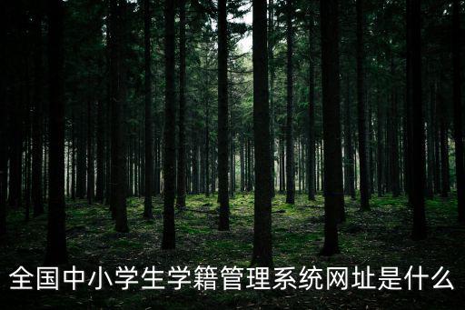 全國中小學(xué)生學(xué)籍管理系統(tǒng)網(wǎng)址是什么
