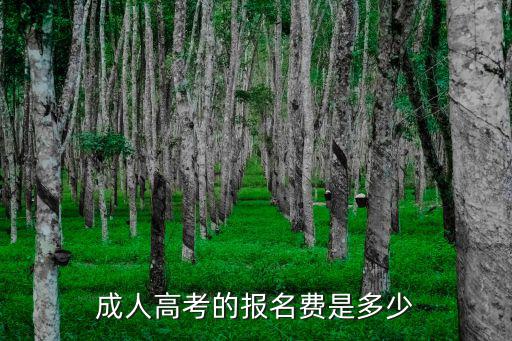 成人高考報(bào)名費(fèi)，我想報(bào)個(gè)成人高考報(bào)名費(fèi)是多少
