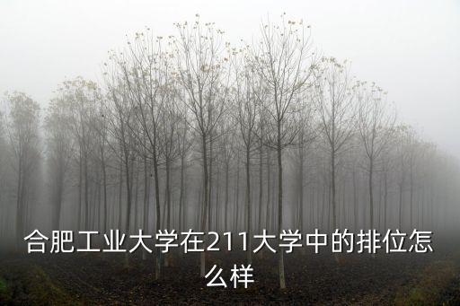 合肥工業(yè)大學在211大學中的排位怎么樣