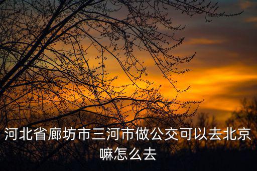 河北省廊坊市三河市做公交可以去北京嘛怎么去
