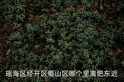 合肥市瑤海區，瑤海區在合肥市什么位置