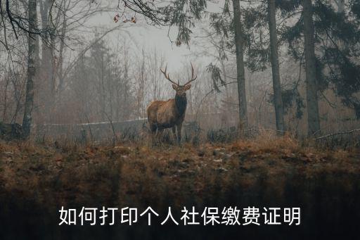 個(gè)人社保參保證明，如何打印個(gè)人社保繳費(fèi)證明