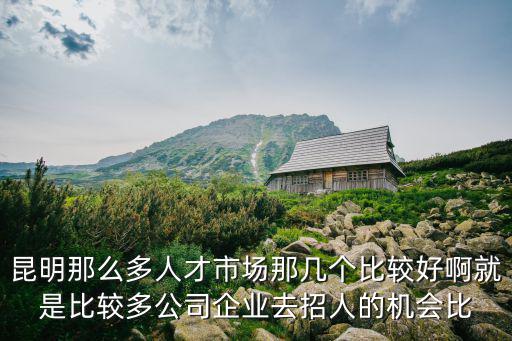 昆明那么多人才市場那幾個比較好啊就是比較多公司企業去招人的機會比