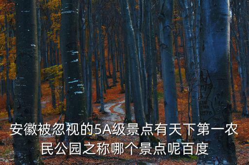 安徽被忽視的5A級(jí)景點(diǎn)有天下第一農(nóng)民公園之稱哪個(gè)景點(diǎn)呢百度