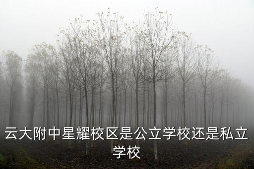 云大附中星耀校區(qū)是公立學(xué)校還是私立學(xué)校