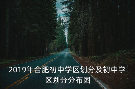 2019年合肥初中學區劃分及初中學區劃分分布圖