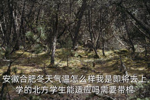 安徽合肥冬天氣溫怎么樣我是即將去上學(xué)的北方學(xué)生能適應(yīng)嗎需要帶棉