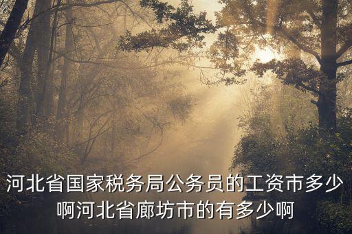 河北省國家稅務局公務員的工資市多少啊河北省廊坊市的有多少啊