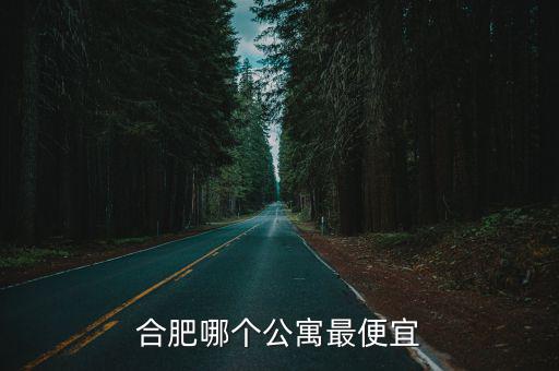 合肥公寓出租，合肥哪里有單身公寓租