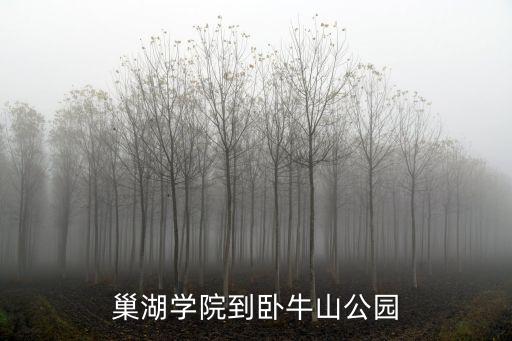巢湖學院到臥牛山公園