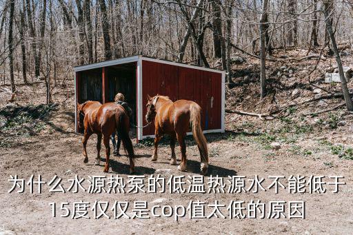 為什么水源熱泵的低溫熱源水不能低于15度僅僅是cop值太低的原因