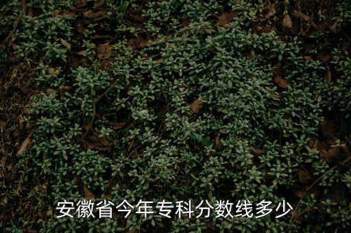 安徽省今年專科分?jǐn)?shù)線多少