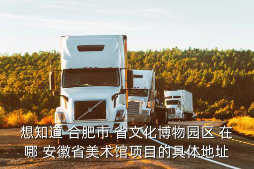 想知道 合肥市 省文化博物園區(qū) 在哪 安徽省美術館項目的具體地址