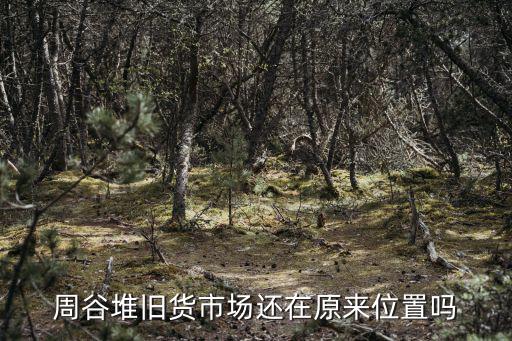 周谷堆舊貨市場(chǎng)還在原來位置嗎