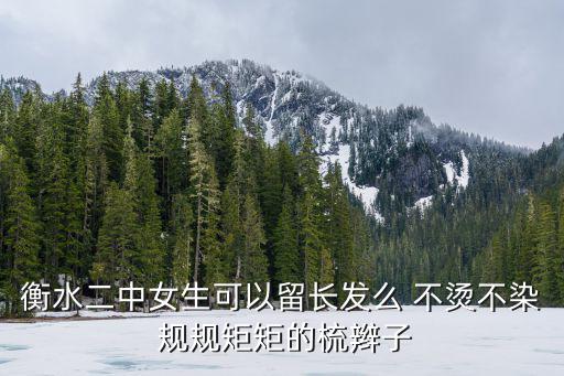 衡水二中女生可以留長發么 不燙不染 規規矩矩的梳辮子