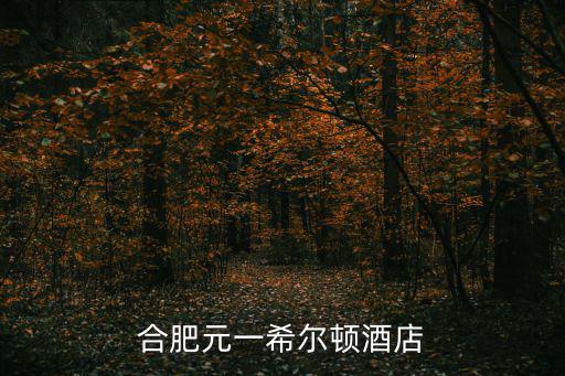 元一希爾頓酒店，上海虹橋元一希爾頓酒店怎么樣