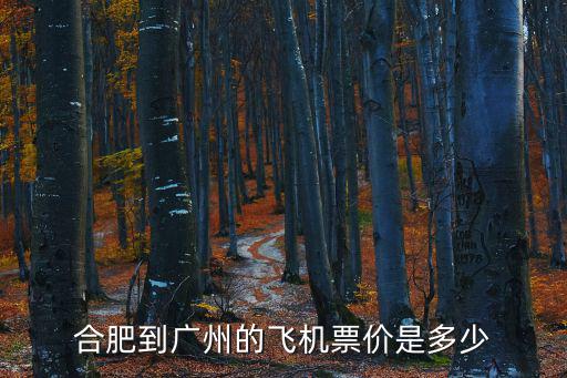 合肥到廣州飛機(jī)，合肥到廣州飛機(jī)票要多少錢